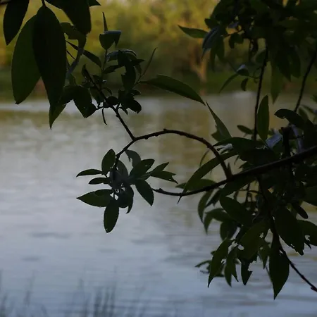 Camping-caravaning De La Molliere Camping 3*