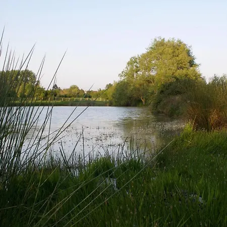 Camping-caravaning De La Mollière