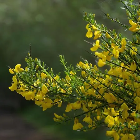 Camping-caravaning De La Molliere Camping 3*