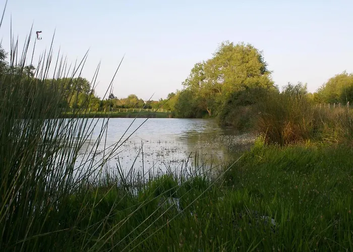 Camping-caravaning De La Mollière