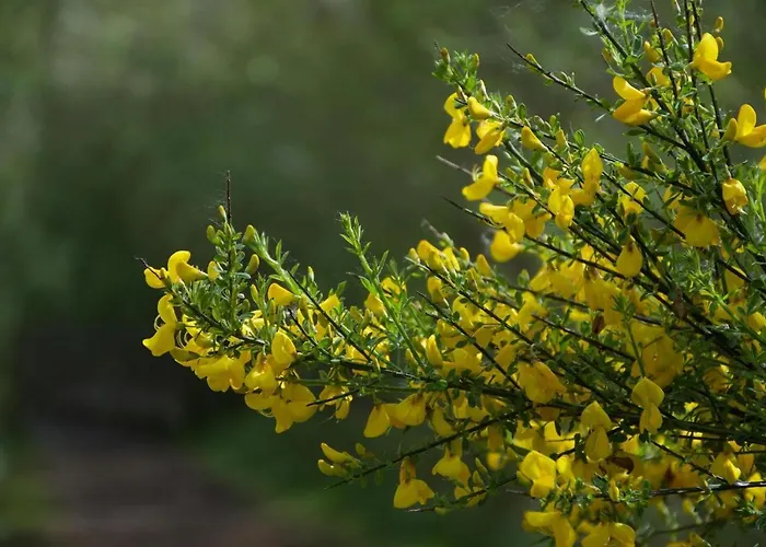 Camping-caravaning De La Mollière Camping 3*