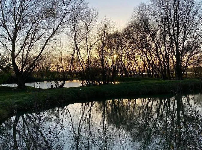 Camping Camping-caravaning De La Mollière