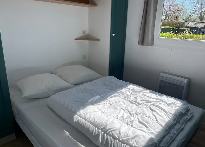 Camping Camping-caravaning De La Mollière